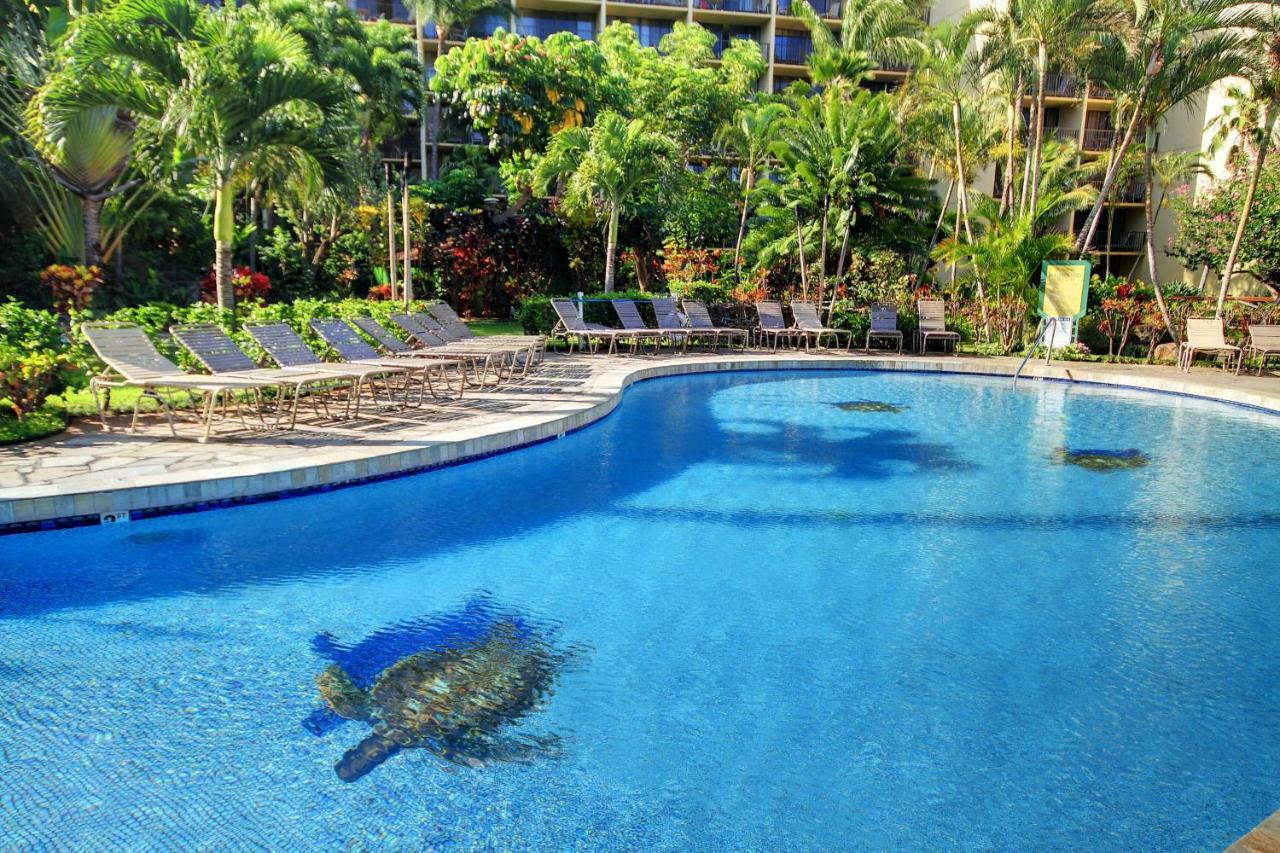 Kaanapali Shores 706 Zewnętrze zdjęcie